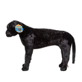 Lifelike Stuffed Animal - Black Lab thumbnail
