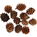 Natural Larch Cones, 12 pcs thumbnail