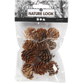 Natural Larch Cones, 12 pcs thumbnail