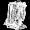 Spider Web with Spider, 20 g thumbnail