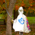 2-in-1 Dragon/Knight Cape, Size 5-6 yrs thumbnail