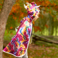 2-in-1 Dragon/Knight Cape, Size 5-6 yrs thumbnail
