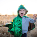 Dragon Cape - Green/Yellow, 2-3 yrs thumbnail