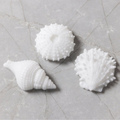 Silicone Mould - Marine Animals, 3 pcs thumbnail