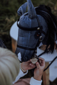 byASTRUP Hobby Horse - Grey/Black "Blaze" thumbnail