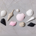 Silicone Mould - Shells & Conches, 10 Designs thumbnail