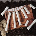 Activity Cards for Dinosaur Bones, 16 pcs thumbnail
