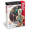 Human Anatomy Model - Body thumbnail