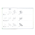 Learn to Draw - Bugs, Birds & Butterflies thumbnail