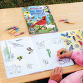 Learn to Draw - Bugs, Birds & Butterflies thumbnail