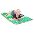 Baby Einstein - Busy Barnyard Play Gym thumbnail