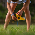 Disc Golf thumbnail