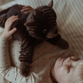 Weighted Stuffed Animal - Cat, 1.2 kg thumbnail