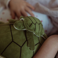Weighted Stuffed Animal - Turtle, 1.6 kg thumbnail