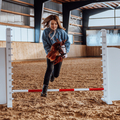 byASTRUP Hobby Horse - Red Pinto "Coco" thumbnail