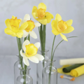 Stretchy Crepe Paper - Pastel, 8 Sheets thumbnail