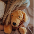 Weighted Stuffed Animal - Dog, 2.2 kg thumbnail