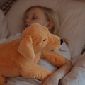 Weighted Stuffed Animal - Dog, 2.2 kg thumbnail