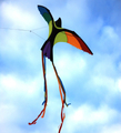 Kite - Bird 130x75 cm thumbnail