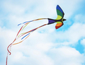Kite - Bird 130x75 cm thumbnail