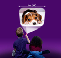 Torch Projector with Slides - Cute Cuddly Animals thumbnail