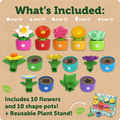 Shape & Colour Garden Activity Set thumbnail