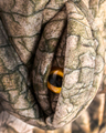 Spinosaurus Costume, Size 3-4 Years thumbnail