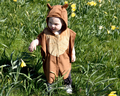 Bear Costume, size 1-4 years thumbnail