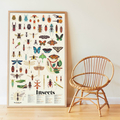 Learn & Discover Sticker Poster - Insects thumbnail