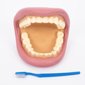 Learn to Brush Your Teeth Hand Puppet thumbnail