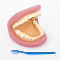 Learn to Brush Your Teeth Hand Puppet thumbnail