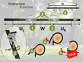 Swing Tree Hanging Strap - Horizontal, 1200 cm thumbnail