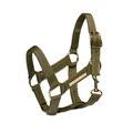 Cheval Roi Accs. - Halter, Sage Green thumbnail