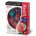Human Anatomy Model - Heart thumbnail