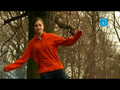 Slackline Balance Set - Beginner/Family thumbnail