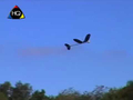 Glider Plane 40 cm thumbnail