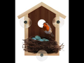Window-Mounted Birdhouse thumbnail