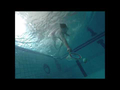 Diving Toy - Diving Catch Game thumbnail