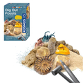 Dig Kit - Fossils, 5 pcs thumbnail
