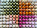 Natural Egg Dye, 5 Colours thumbnail