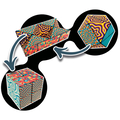 Magic Cube (asstd.), 1 pc thumbnail
