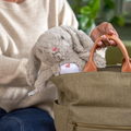 Sylvi™ Sensory Plush Soother Bunny thumbnail
