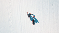 Sled - Snowbob thumbnail