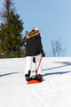 Sled - Snowbob thumbnail