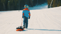 Sled - Snowbob thumbnail