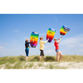 Kite - Symphony with Struts, Controllable thumbnail