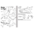 Learn to Draw - Animals thumbnail