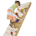 Multicolour Climbing Holds - Large thumbnail