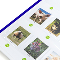 Interactive Board - Record & Play thumbnail