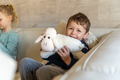 Stuffed Animals Family - Sheep with Lambs thumbnail